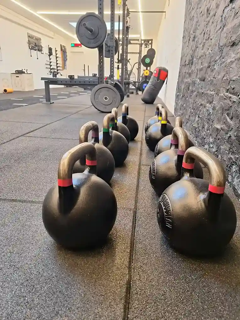 Cap knokke - home page - gallery image 08